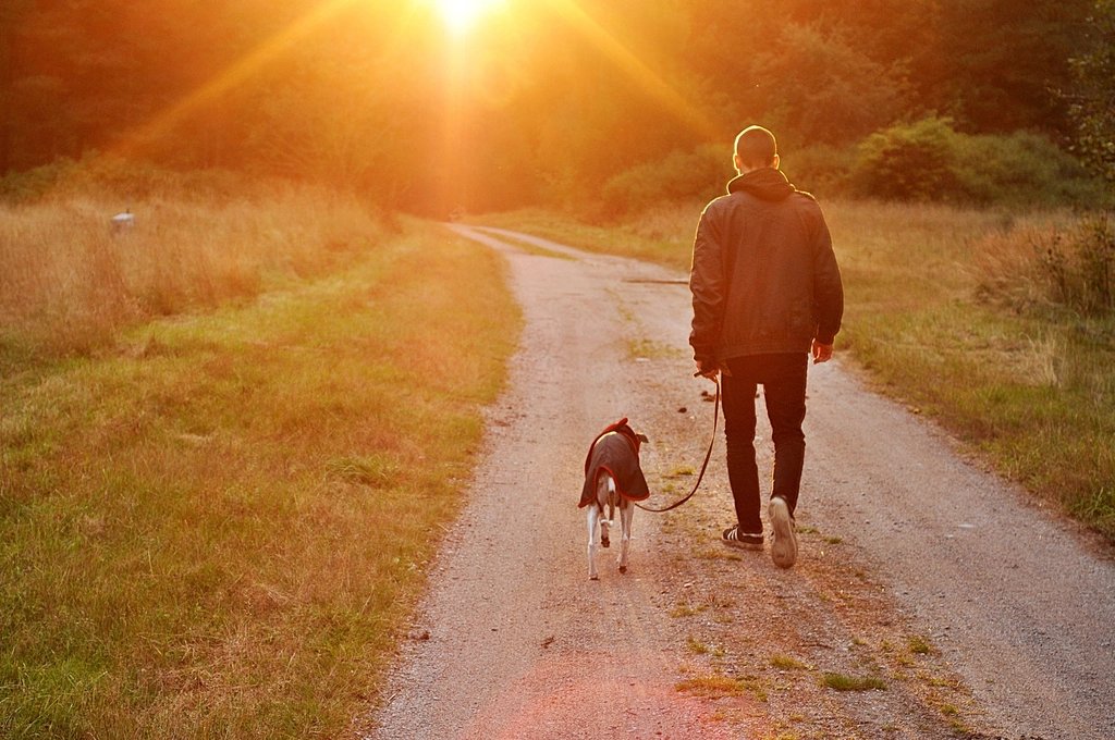 A dog walker and a dog on a country path at sunset