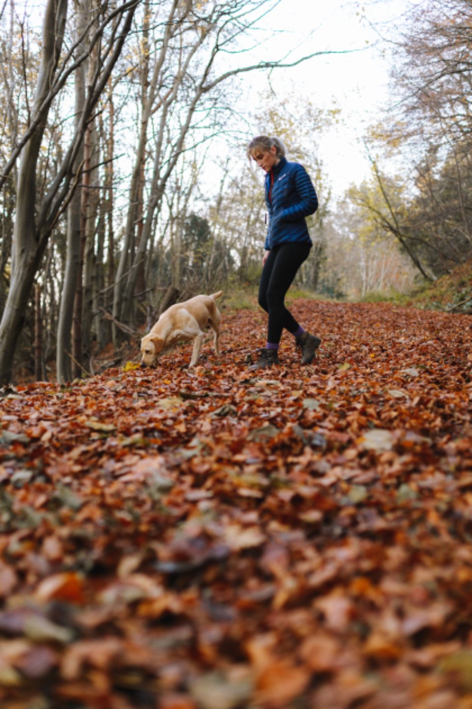 A dog walker with a dog on a woodland path covered in autumn leaves